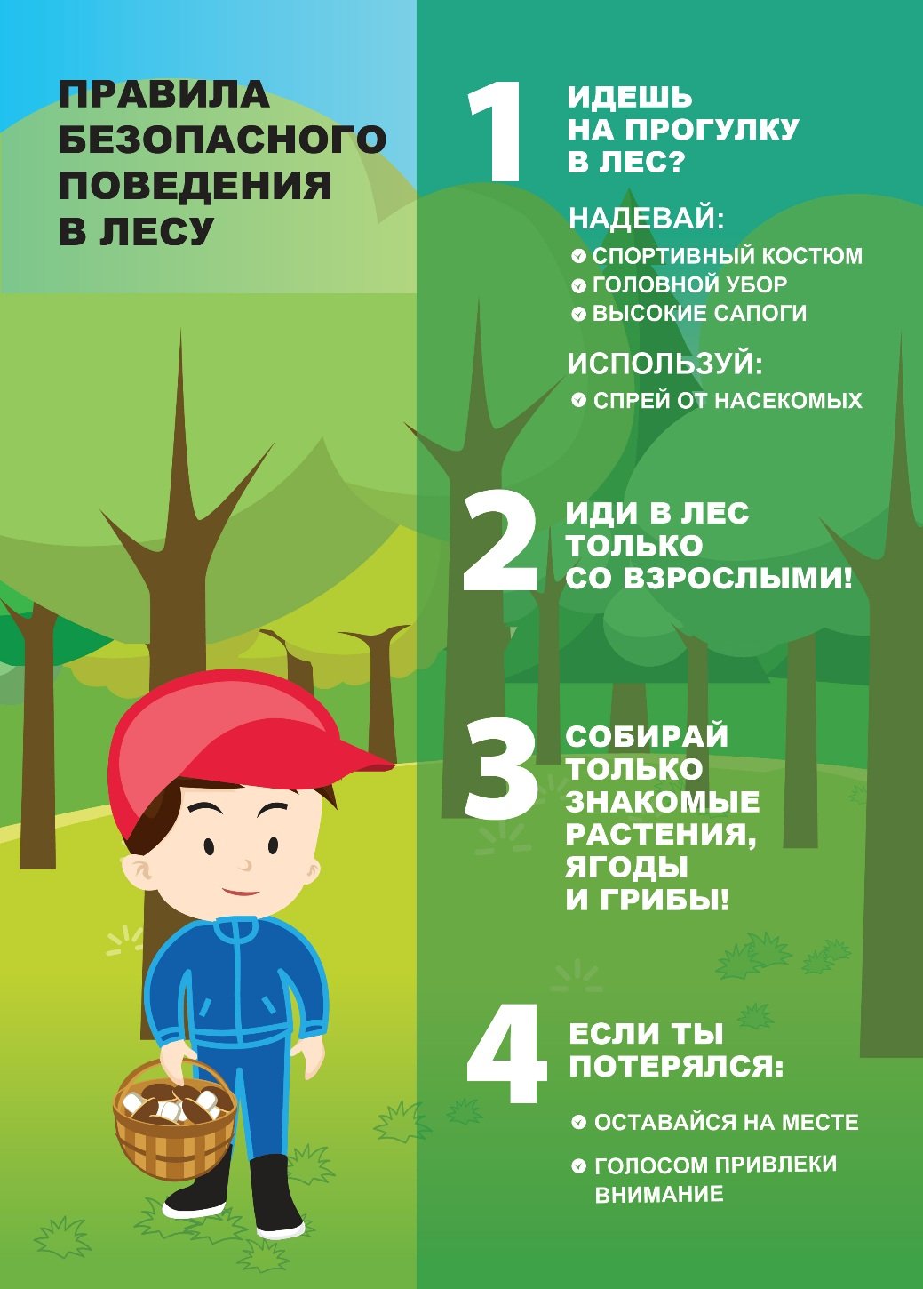 Правила безопасности в лесу.